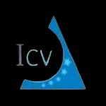 ICV Assessments Profile Picture