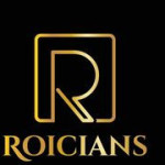 Roicians Software Testing Course Profile Picture