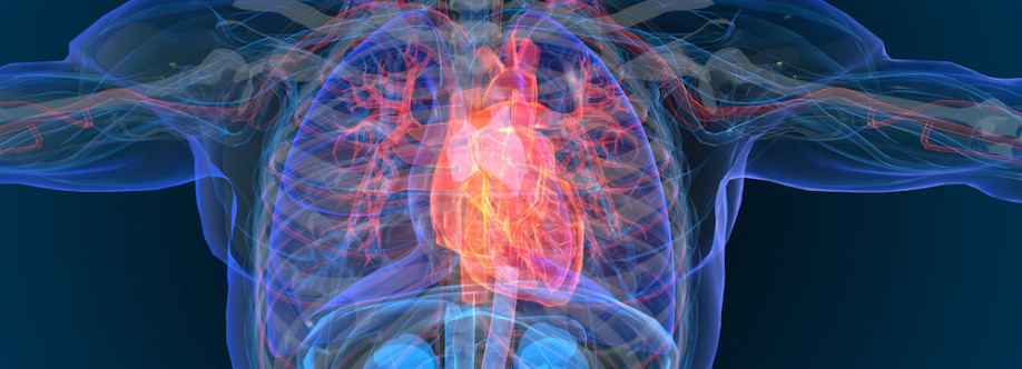 The Heart ae Cover Image