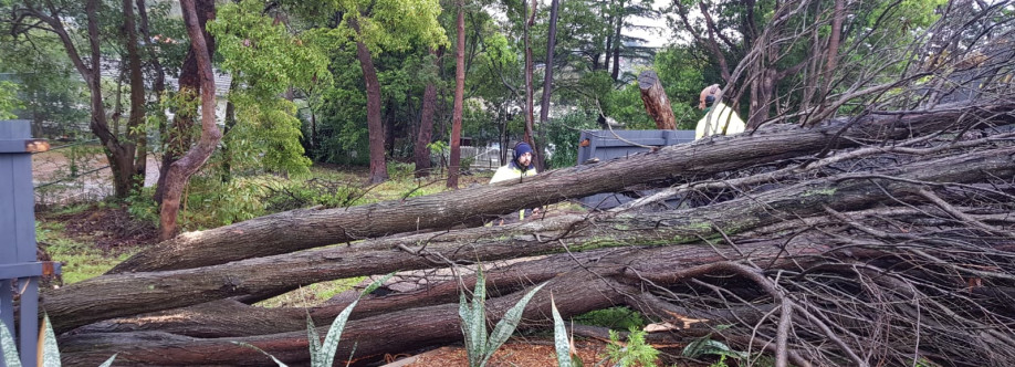 Sams Tree Services North Shore Cover Image