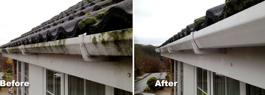 Marios Gutter Cleaning Cover Image