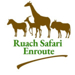 Ruach Safari Enroute Profile Picture
