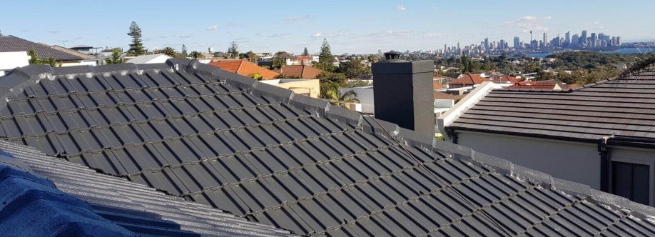 Mr Roofer Cover Image