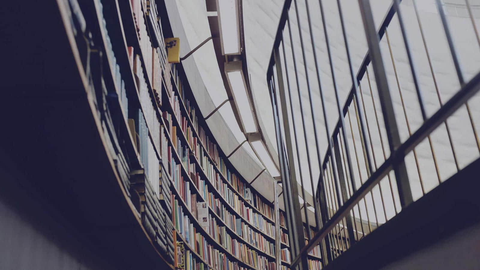 The Pros and Cons of Dedicated Hosting Providers vs. VP...