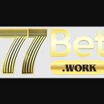 77BET Casino Profile Picture