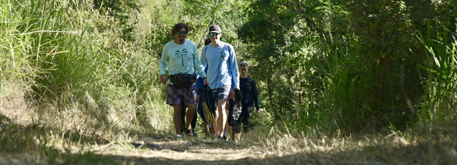 Island Buddy Cover Image