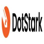 DotStark Technologies Profile Picture