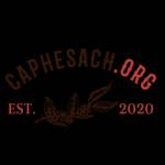 caphesach caphesach Profile Picture