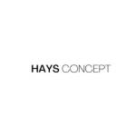 haysconcept Profile Picture