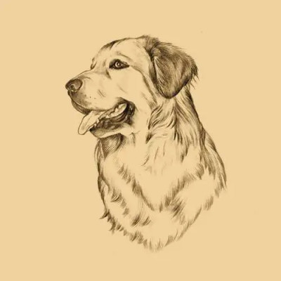 blacksnetw Profile Picture