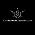 onlineweedseeds Profile Picture