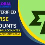 buy Wise account verified Profile Picture