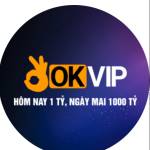 okviplm Profile Picture