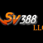 SV388 dryk Profile Picture