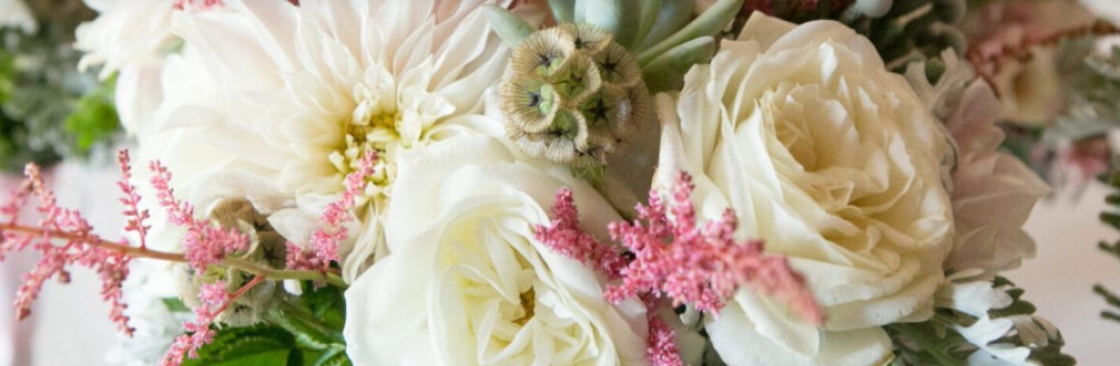 Blossoms Of Blackburn Cover Image