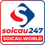 Soicau247 Profile Picture