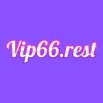 Vip 66 Profile Picture
