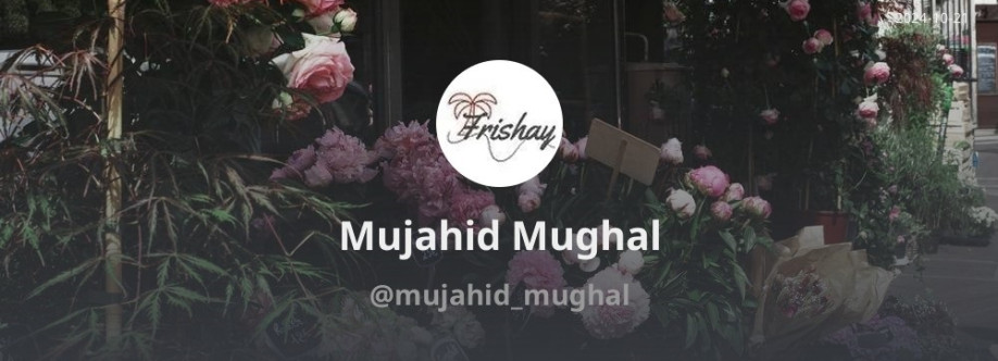 Mujahid Mughal Cover Image