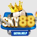 SKY88 help Profile Picture