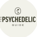 The Psychedelic Guide Profile Picture