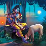 Astro Parshant Profile Picture