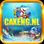 CAXENG nl Profile Picture