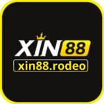 xin88 rodeo profile picture