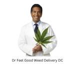 Dr Feel Good Weed Delivery DC Profile Picture