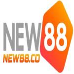 New88 Profile Picture