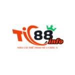 TIC88 Profile Picture