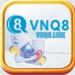 VNQ8 link profile picture