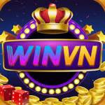 WinVN Company profile picture