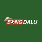 bongdalu4 profile picture