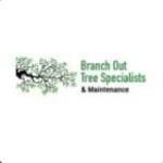Branch Out Tree Specialists Profile Picture