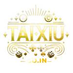 taixiucoin Profile Picture