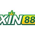xin88vnco11 Profile Picture