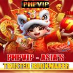 phpvip asia Profile Picture