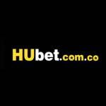HUBET com co Profile Picture