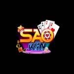 saowin black Profile Picture