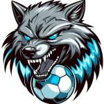hullstingrays profile picture