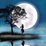 Ankul Tiwari Profile Picture
