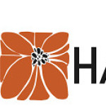 Hairjoy shop Profile Picture