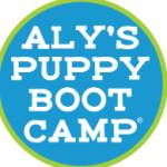 Alys Puppy Boot Camp Profile Picture