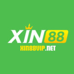 Xin88 Profile Picture