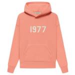 Pink Essentials Hoodie Profile Picture