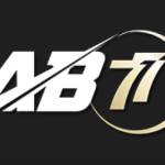 AB77 band Profile Picture