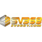 SV368y com Profile Picture