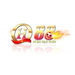 QH88 Navy Profile Picture