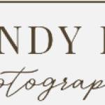 Cindy Ko Photography Profile Picture