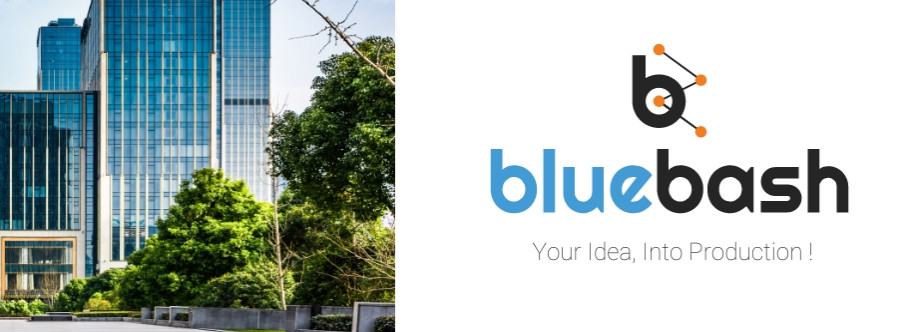 Blue bash Cover Image